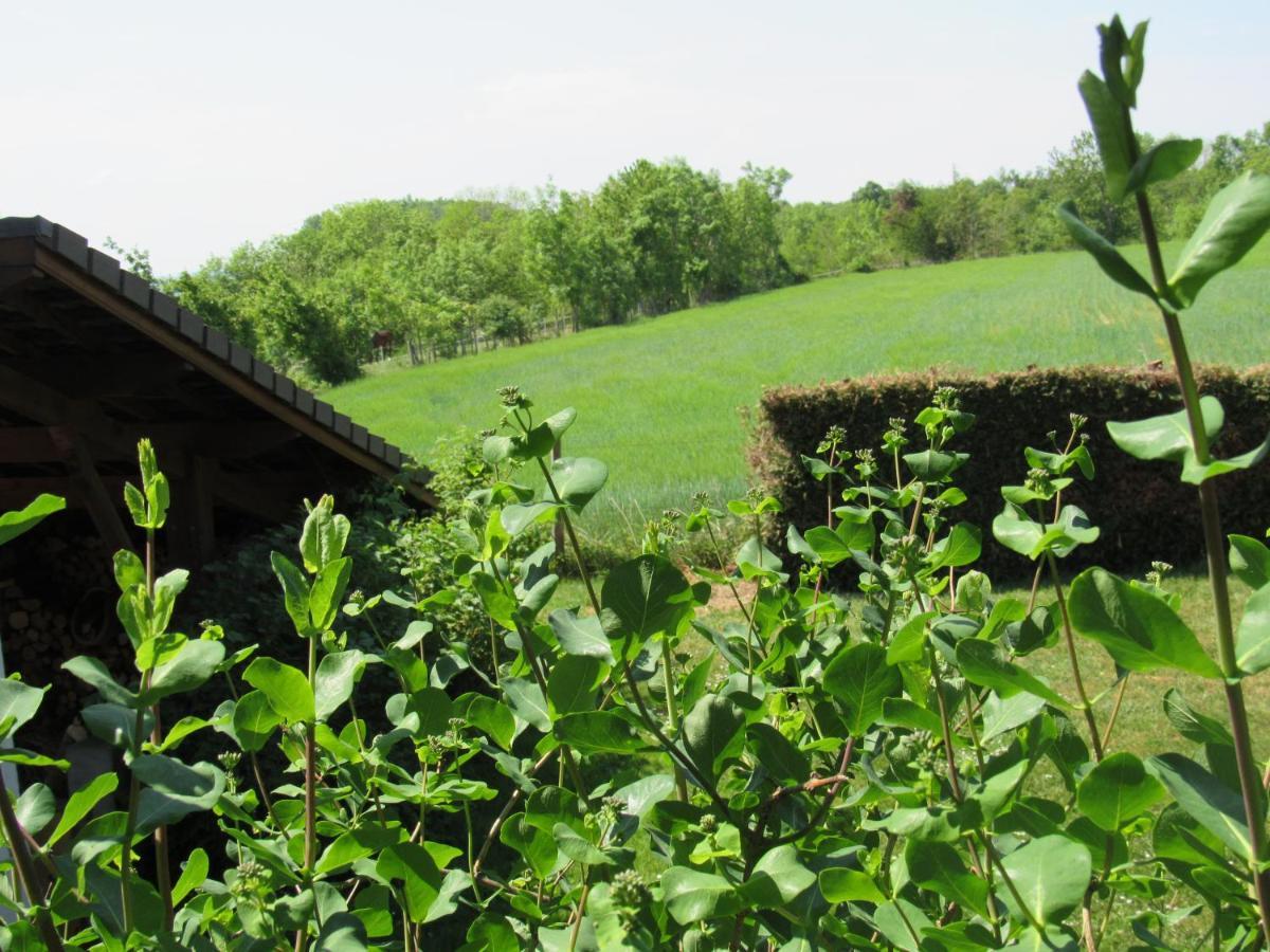 Le Temps D'Une Pause Cessieu Bagian luar foto